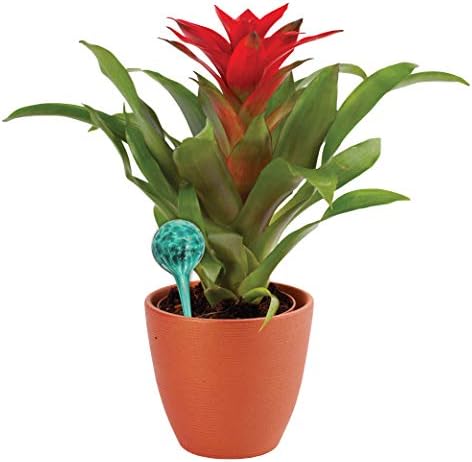 Maxam Wyndham House, 2 Piece Watering Globe Set, Colorful Hand-Blown Glass Plant Watering System