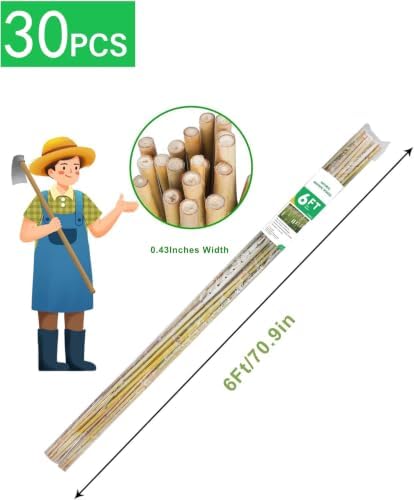 Natural Bamboo Plant Stake（6FT 30Pcs） Sturdy Bamboo Poles, Durable Plant Bamboo Stake, Garden Climbing Plant Bracket.