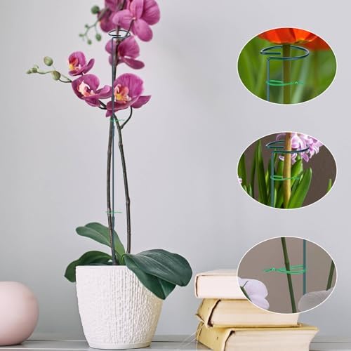 2 Pack (DIY) Plant Support Stakes, Three Sizes (12 or 24 or 36 inch) Plant Support Rings with 20 Pcs Plant Twist Ties, Garden Stake for Indoor Outdoor Plant Flowers, Amaryllis,Tomatoes