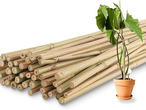 50Pcs / 3ft Bamboo Plant Stakes for Indoor Outdoor Plants, Garden Plant Support Sticks, Poles for Tomato Vegetables Beans Trees Potted Climbing Plants(0.32''-0.4'')