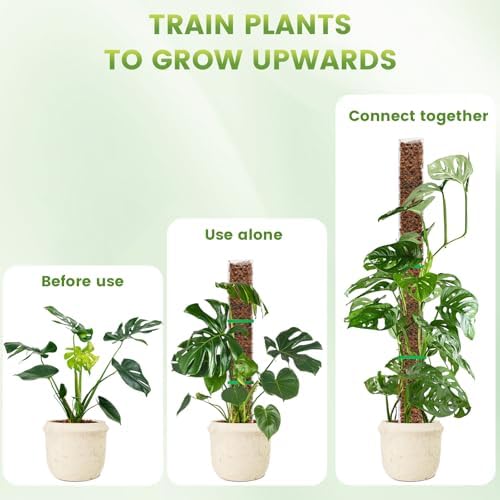 EOX Plastic Moss Pole for Monstera and Climbing Plants, 24-Inch, 8-Pack