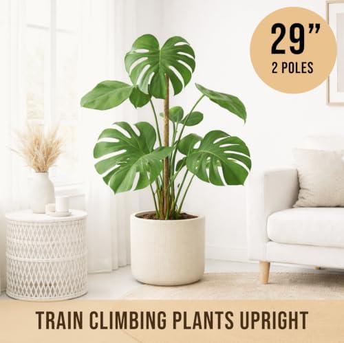 Craft911 29" Moss Pole Monstera Plant Support, Indoor Plant Stakes