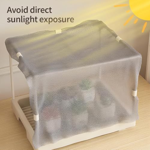 Green Houses for Outside Winter Protection Vegetable Growing