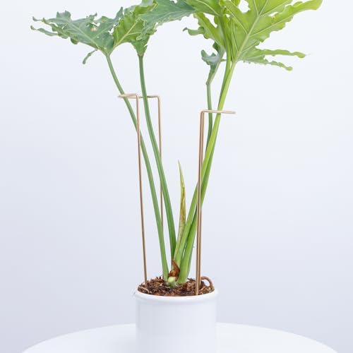 10 PCS Large Indoor Plant Stakes 15.5" Heavy Duty Metal Supports