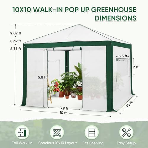EAGLE PEAK 10x10 Walk In Pop Up Greenhouse, Green/White