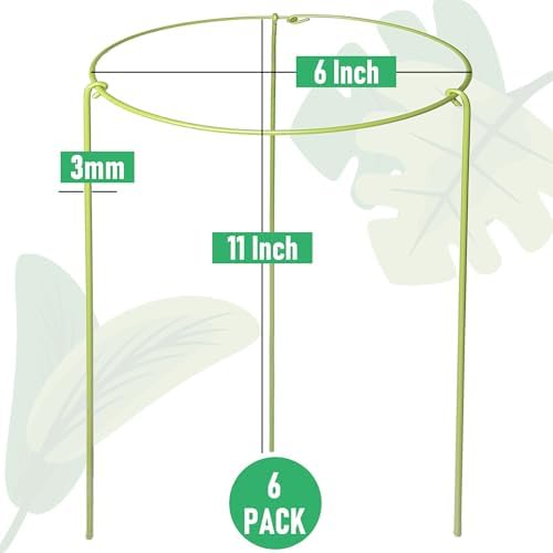 6-Pack Heavy Duty Plant Stakes and Supports for Indoor Outdoor Plants, Metal Support Stakes & Cage Rings, Ideal for Monstera, Peonies, Roses (6" W x 11" H)