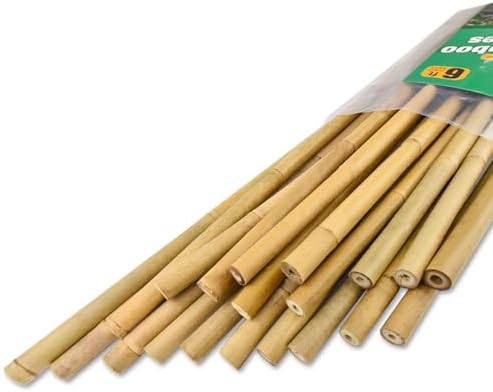 Jollybower 20pcs 5/8" D Thicker Heavy Duty Bamboo Stakes, 6FT Plant Stakes, Natural Garden Stakes for Tomato, Bean, Flowers,Trees Potted and Climbing Plant Support