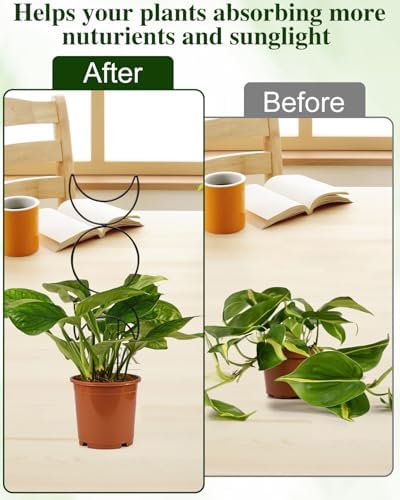 4 Pack Small Hoya Metal Trellis for Potted Climbing Plants Indoor, Black
