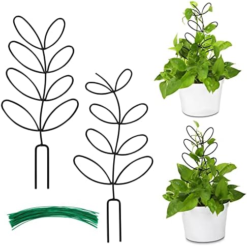 2 Packs Indoor Plant Trellis Garden Trellis for Climbing Plants
