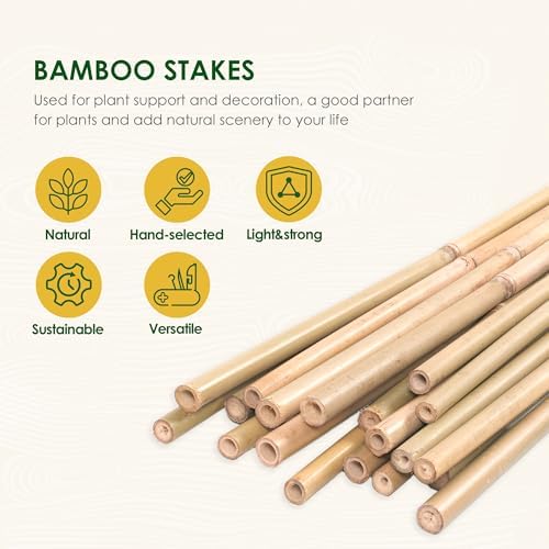 Bamboo Stakes 3ft, 50 Pack Garden Stakes, Bamboo Sticks for Plant