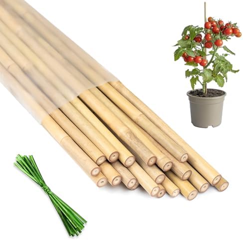 Plant Stakes 16inch, HAINANSTRY 20Pcs Natural Bamboo Sticks Garden Stakes