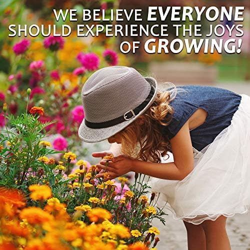 Northeastern Wildflower Seeds Bulk – 1 lb, 640,000+ Seeds – Annual & Perennial Wildflower Mix with Native Northeast Flowers – Regional Pollinator Flower Seed for Garden & Meadow