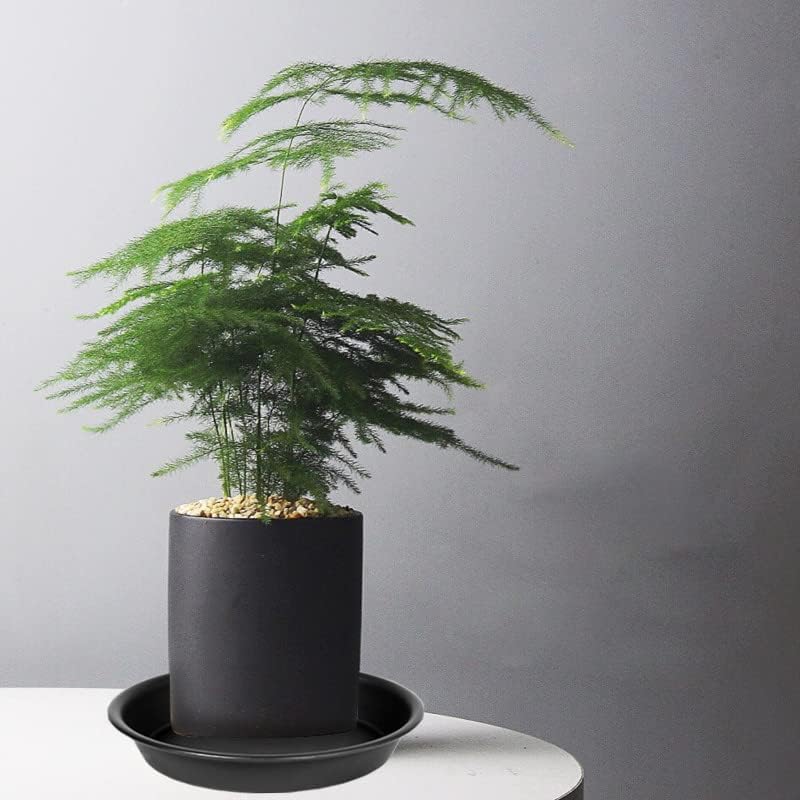 6 Pack Plastic Plant Saucer Water Drip Tray, 4 5 6 7 8 9 10 11 12 13 15 17 19 inch, Heavy Sturdy Plant Drainage Tray for Indoors Outdoor, Flower Saucers for Pots Base (4", Black)