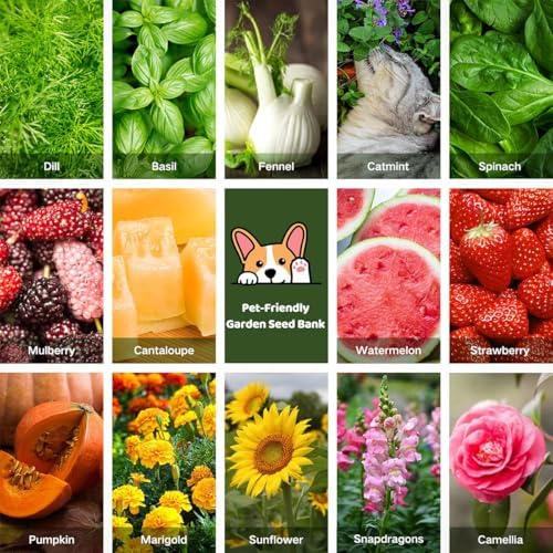 Lush&Dew Pet-Friendly Heirloom Seed Bank, Gardening Gifts for Women Men