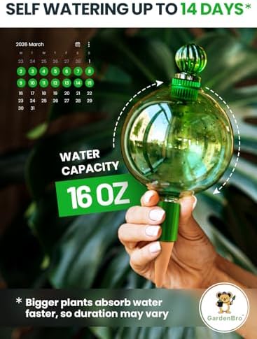 16 Oz Plant Watering Globes, Large Self Watering Globes For Indoor Plants