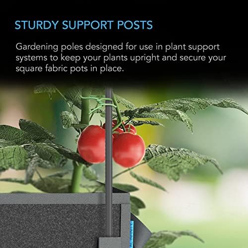 AC Infinity Garden Plant Stakes, Heavy-Duty Steel 36"