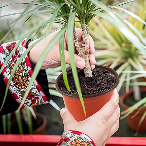 150 Pcs 4Inches Plastic Plants Nursery Pot, Seed Starting Pots