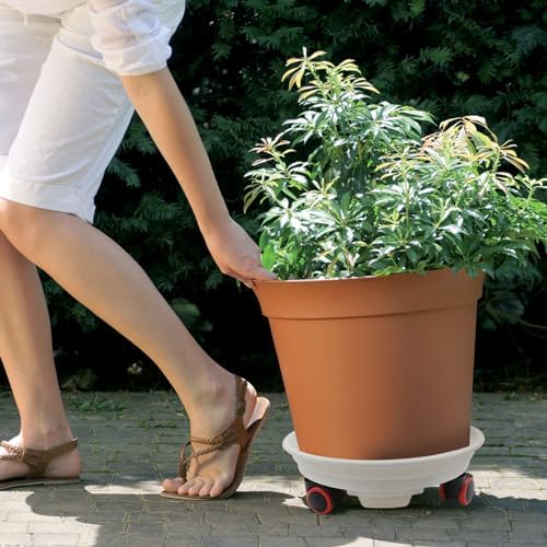 2pcs Plant Caddy with Wheels, 11.6" Plant Stand Heavy Duty Plant Dolly with Water Container Loading Capacity 80 lbs, White