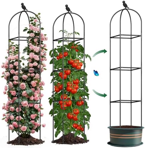 Square Tomato Cages for Garden, 6.2 FT Cucumber Trellis for Flowers, Grape, Pea, Rose, Bean, Rustproof Plastic Coated Metal Plant Support for Potted Plants Indoor Outdoor- 1PC Obelisk Trellis