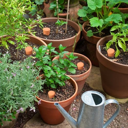 8 Pcs Ollas 14 oz Terracotta Watering Pots 3.1 * 6 inch Clay Plant Watering Globes Self Watering Planter Insert Vacation Plant Care Olla Watering Terra Cotta Clay Irrigation Can