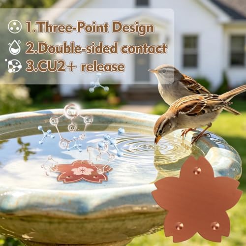 2 Pcs Copper Bird Bath Disc, Solid Copper Disk for Bird Bath, Flower-Shaped Bird Bath Copper Disk, Natural Water Purifier for Outside Bird Bath All-Season, Backyard Garden Decor