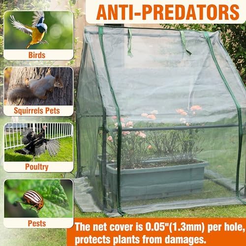 Gardzen Mini Greenhouse with Zipper Mesh Cover 36.2"(L) x36.2(W) x42.5(H)