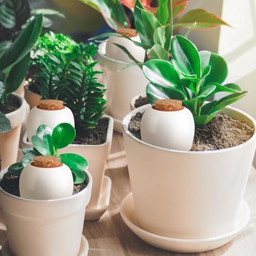 Terracotta Watering Spikes, 4 Pack Ollas Self Watering Globes
