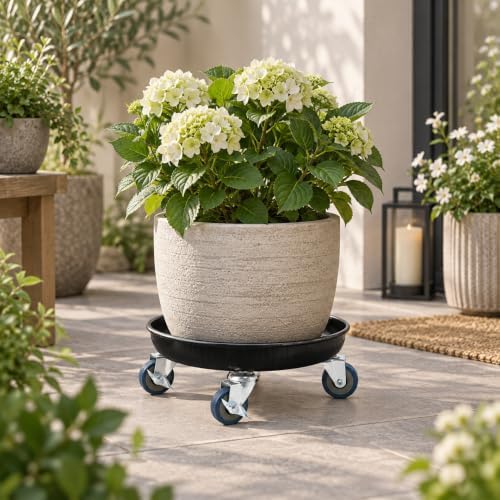 1 Pack 12.2 Inch Metal Plant Caddy, Black