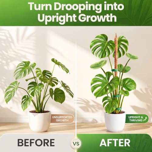2 Pack 48'' Moss Pole Monstera Plant Support for Climbing Indoor Plants