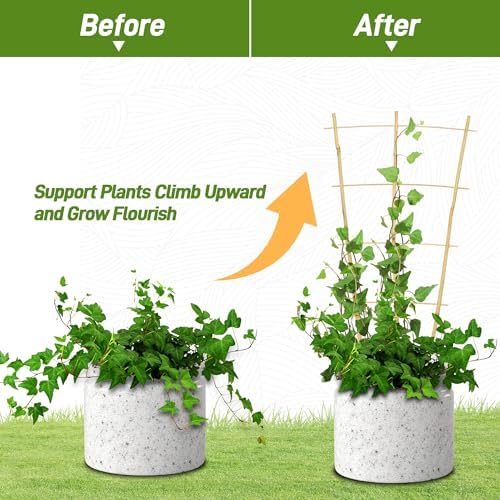 Avalution 10 Pack Bamboo Trellis for Climbing Plants, 2 FT Garden Ladder Trellis for Potted Plants Indoor, Fan-Shaped Small Plant Support Trellis for Houseplants Ivy Hoya Vine Monstera