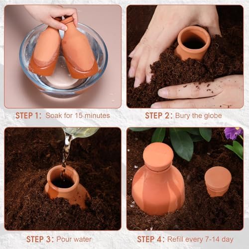 DoubleFill Ollas Terracotta Watering Pots, 10,16,24 oz, 4 Pcs