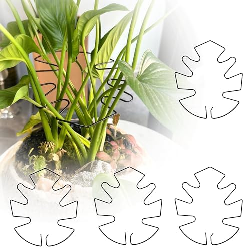 5PCS Monstera Plant Stem Support, 7.3 * 6.5 in Adjustable Stake with Leaf Holders for Indoor Plants, Unique Plant Support Kit for Climbing Plants Outdoor (Monstera)
