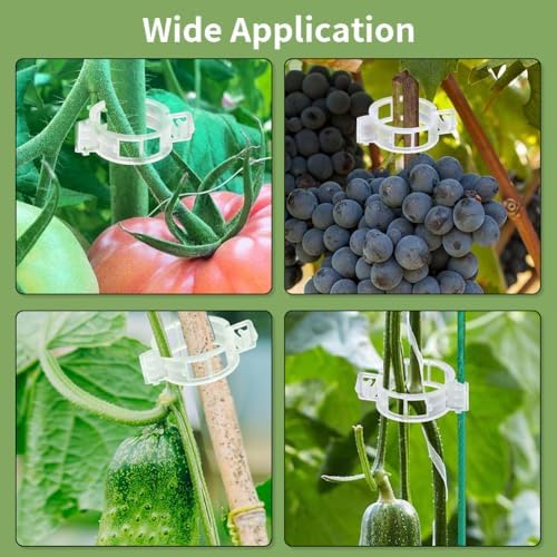 100pcs Plant Support Clips, Plastic Clips for Climbing Plants (150, Green)