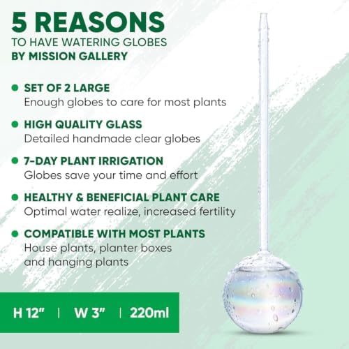 Clear Plant Watering Globes Set of 2, Large - Glass Self Watering Globes