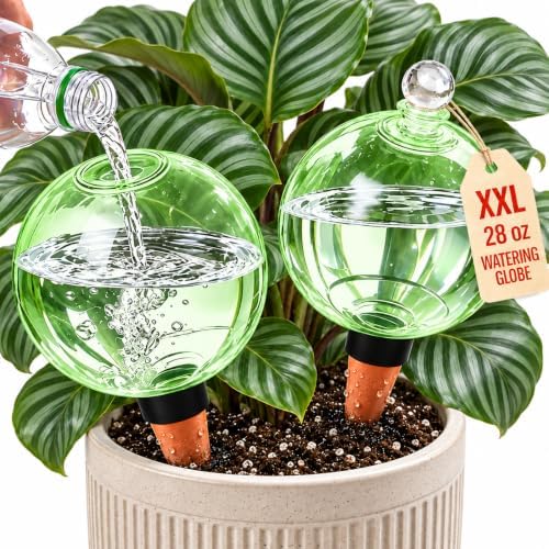 2 Pack 28 oz XXL Extra Large Self Watering Globes to 3+ Weeks Watering