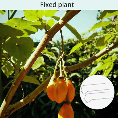 Floral Pins,1.7 Inch U-Shape Plant Pin, 80Pcs U-Pins for Indoor Plants Straw Wreaths, Greening Fern Craft Sewing Pin for Floral Picks Foam, DIY Sewing Project, Holiday Flower Arrangements