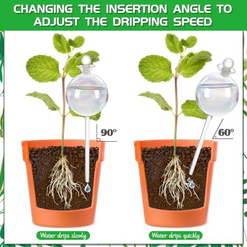 17 oz Extra Large Plant Watering Globes, Glass Self Watering Globes, Rainbow Gradient Self Watering Planter Insert, Watering Bulbs, Automatic Plant Waterer for Indoor Outdoor Plants (2 Pack)