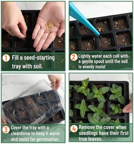 Mr. Pen- Seed Starter Tray Kits, 10 Set, Total 150 Cells