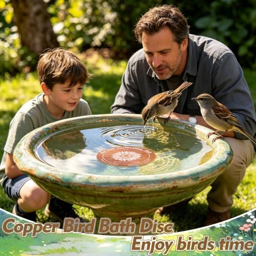 2 Pcs Copper Bird Bath Disc, Solid Copper Disk for Bird Bath, Sunflower Bird Bath Copper Disk, Natural Water Purifier for Outside Bird Bath All-Season