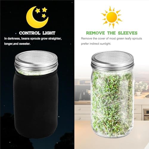 Organic Seed Sprouting Jar Kit – 2 × 32 oz Wide-Mouth Mason Jars