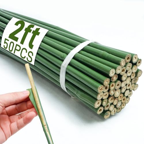 50Pcs 2ft Bamboo Sticks for Indoor Outdoor Plants, 0.29"-0.38" Natural Bamboo Poles, Durable Garden Stakes for Tomatoes, Beans, Flowers and Potted Plants