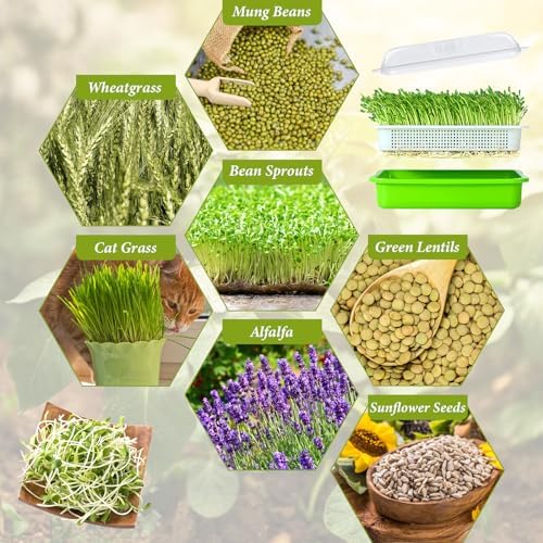 8 Pack Seed Sprouter Trays with Lids, Microgreens Growing Trays Kit