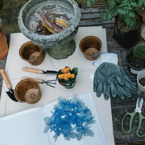 KVZVK 20pcs Dragonfly Plant Orchid Clips,Garden Transparent Plant Support Clip for Orchid Support Fixed Vine(Blue)