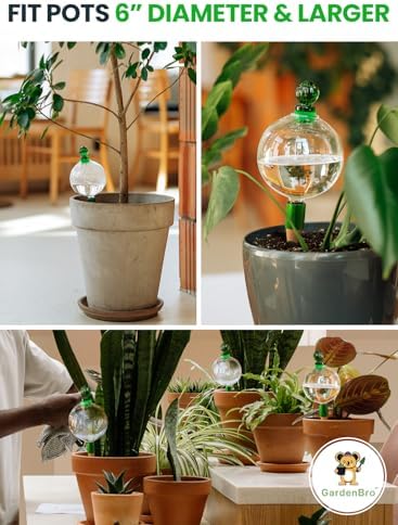 16 Oz Plant Watering Globes, Large Self Watering Globes For Indoor Plants