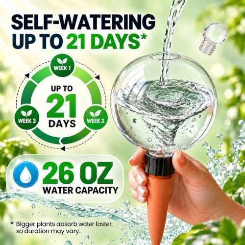 6 Pack 26 oz Extra Large Plant Self Watering Globes to 3 Weeks Watering