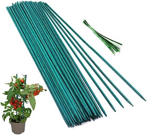 GAGINANG Green Bamboo Plant Stakes, 50 Pcs 15 Inches Floral Support Sticks
