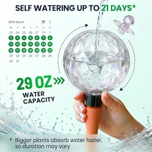 2 Pack 29 oz Extra Large Plant Self Watering Globes to 3 Weeks Watering