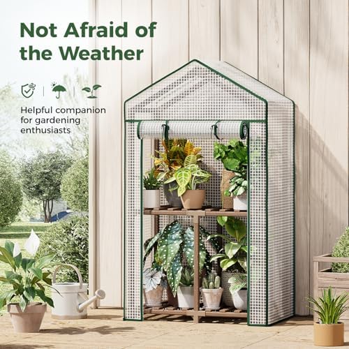 Bamworld 2-Tier Mini Greenhouse 15-Min Setup Outdoor 23x17x38-Inch