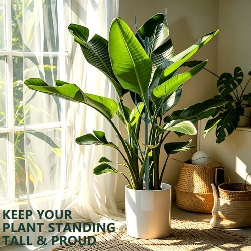 5-Pack Monstera Plant Support Stakes, 11 Inch Stackable Plant Stakes for Indoor Plants with Twist Clips and Plant Ties, Great for Climbing Potted Plants, Indoor & Outdoor Garden Stake Set