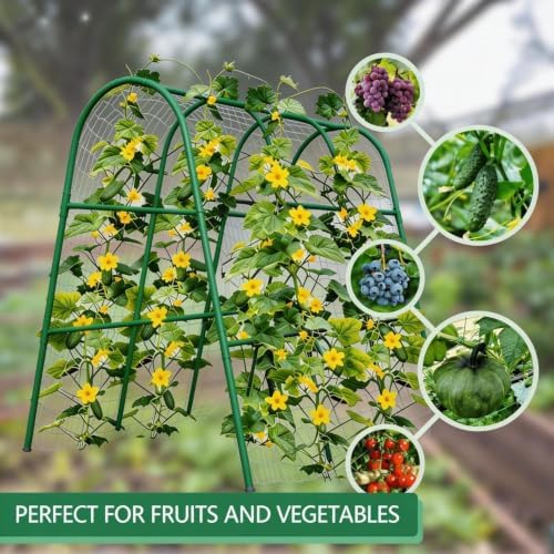 Garvee Garden Arch Trellis for Raised Beds, 4 FT
